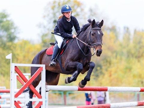 A woman riding a brown horse jumping over a barrier