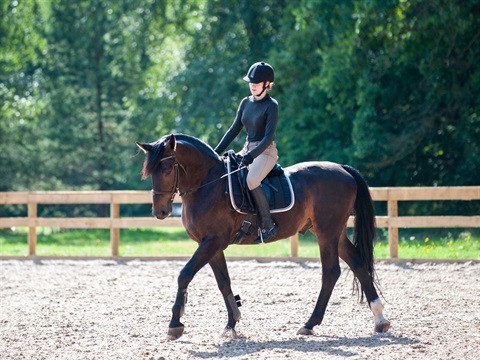 A woman wearing formal horse-riding attire on a brown horse trotting in an enclosure